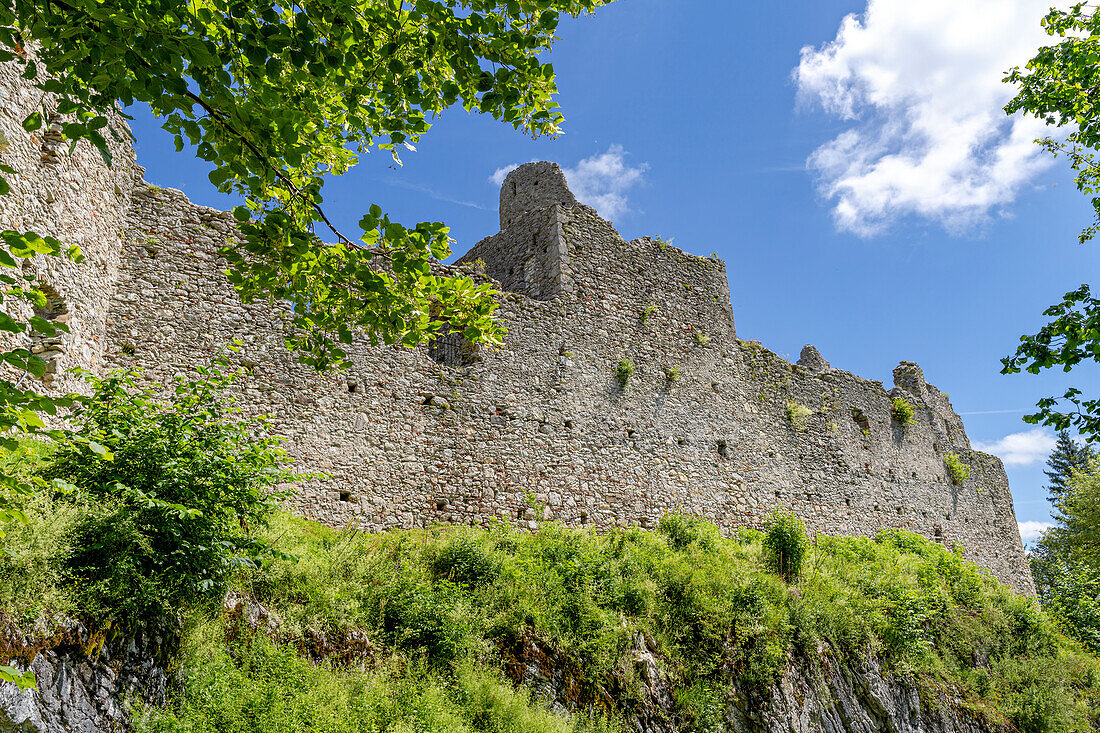  In front of the castle ruins of Hohenfreyberg in the Ostallgäu near Pfronten, Bavaria, Germany, Europe 