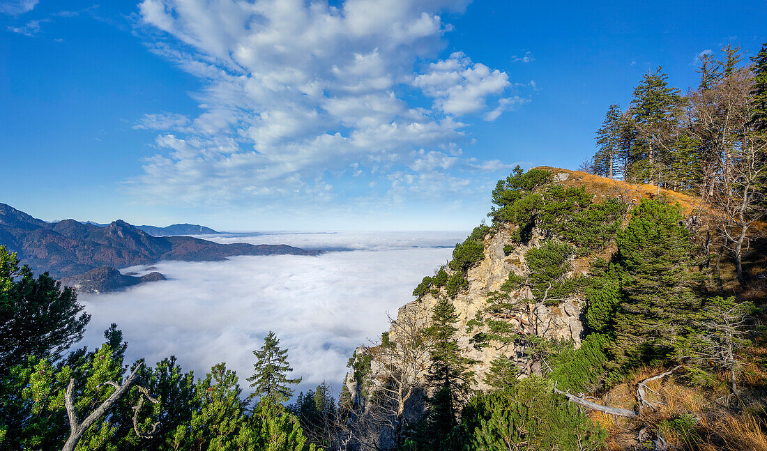 Die Sonnenspitz im Blick, Kochel am See, Oberbayern, Bayern, Deutschland, Europa