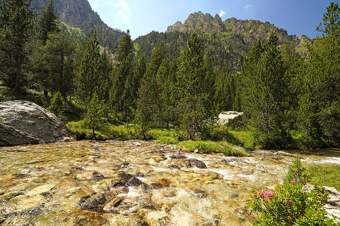  The Riu de Monestero river in the Aigüestortes i Estany de Sant Maurici National Park, Catalonia, Spain, Europe 