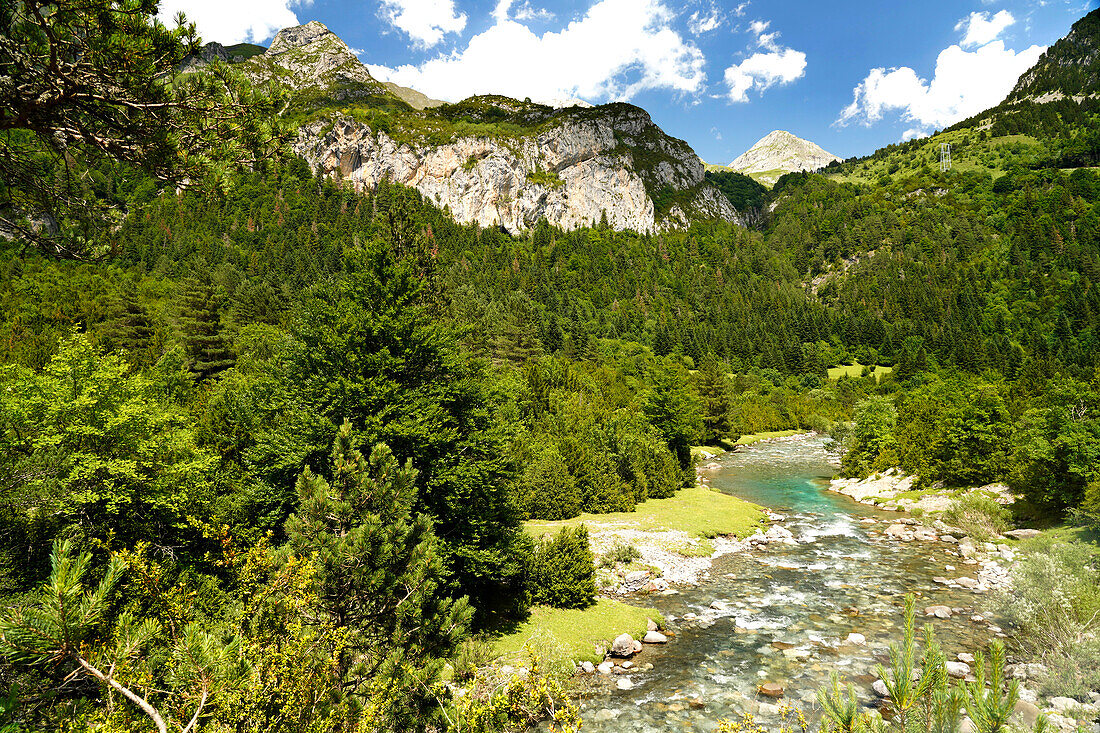 Der Fluss Ara im Bujaruelo-Tal oder Valle de Bujaruelo bei Torla-Ordesa, Spanien, Europa