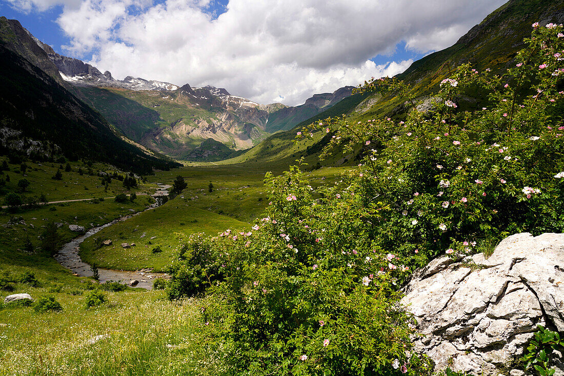 Gebirgslandschaft im Valle de Otal bei Torla-Ordesa, Spanien, Europa