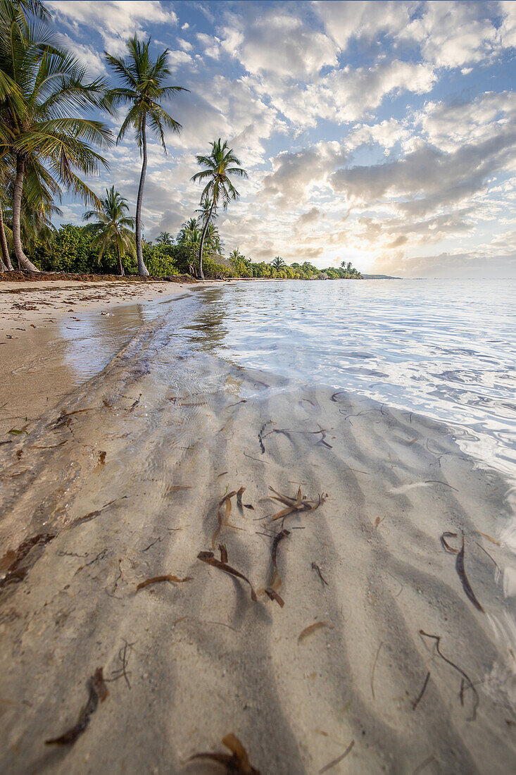  Plage de Bois Jolan, sunrise on the beach, Sainte-Anne, Guadeloupe, French Antilles, France, Europe 