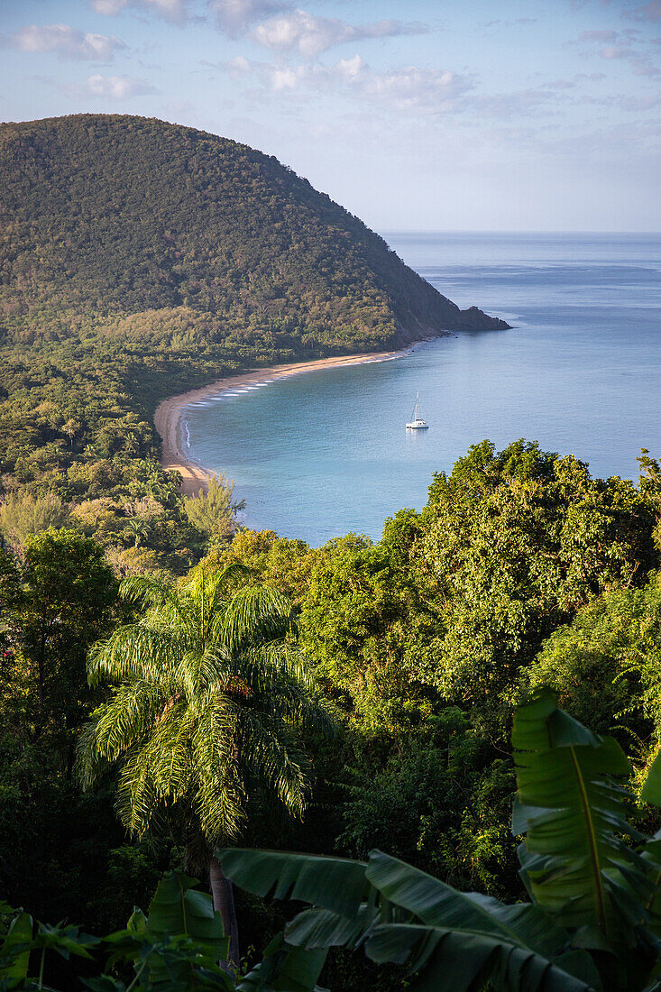  Plage de Grande Anse, view of the beach at, Deshaies, Guadeloupe, French Antilles, France, Europe 