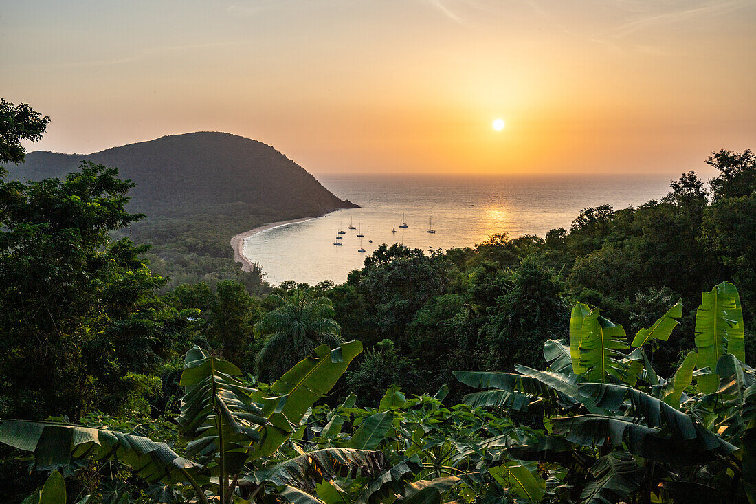  Plage de Grande Anse, view of the beach at, Deshaies, Guadeloupe, French Antilles, France, Europe 