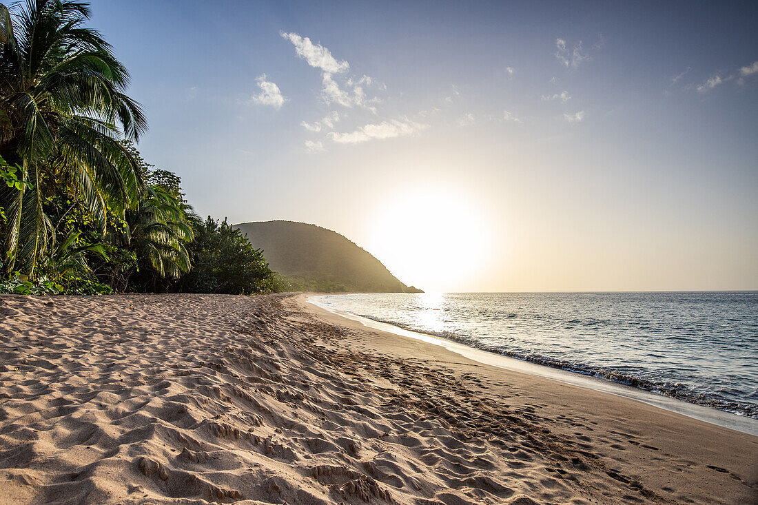  Plage de Grande Anse, view of the beach near Deshaies, Guadeloupe, French Antilles, France, Europe 