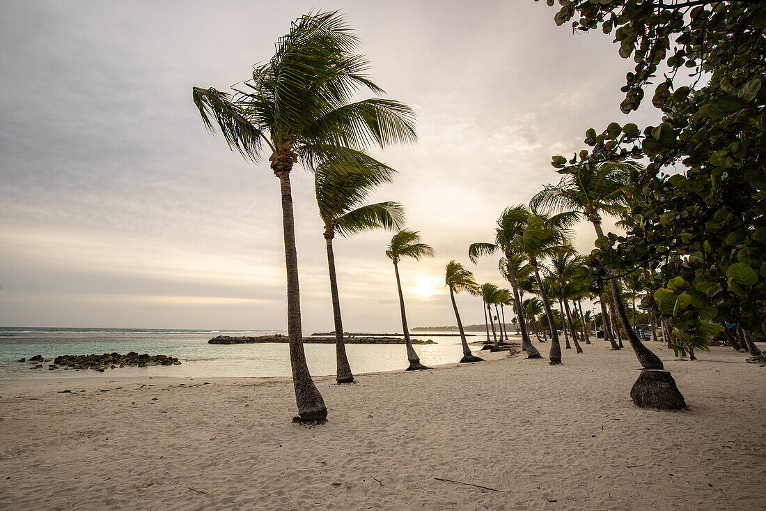  Plage du bourg, sunset on the beach, Sainte-Anne, Guadelupe French Antilles, France, Europe 