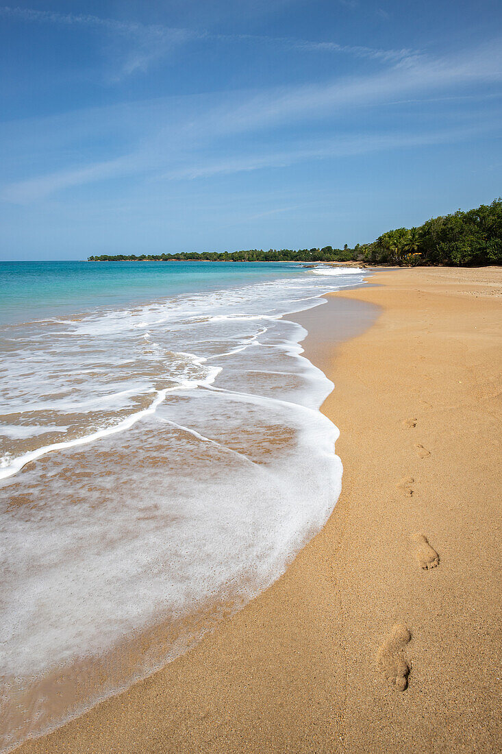  Plage de Clugny, dream beach in Sainte Rose, Guadelupe French Antilles, France, Europe 