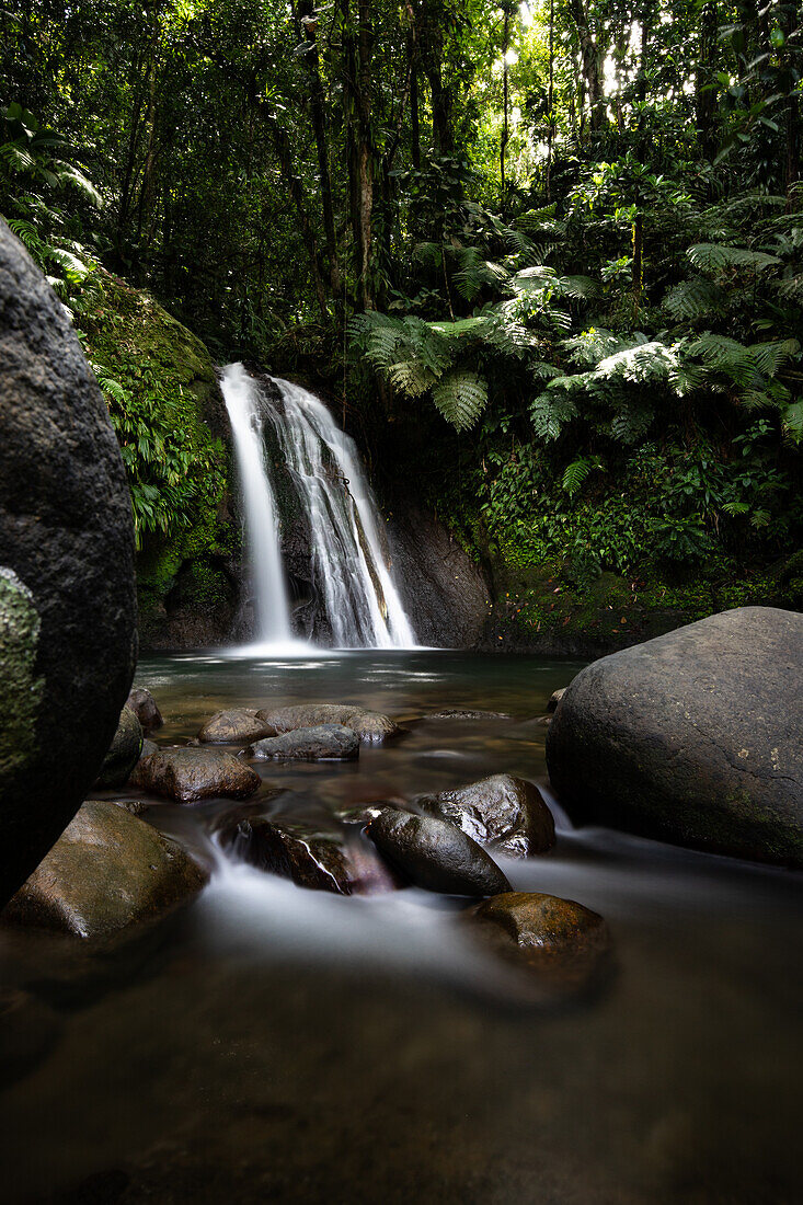  Ecrevisses waterfalls, jungle around the village of Vernou, Guadelupe French Antilles, France, Europe 