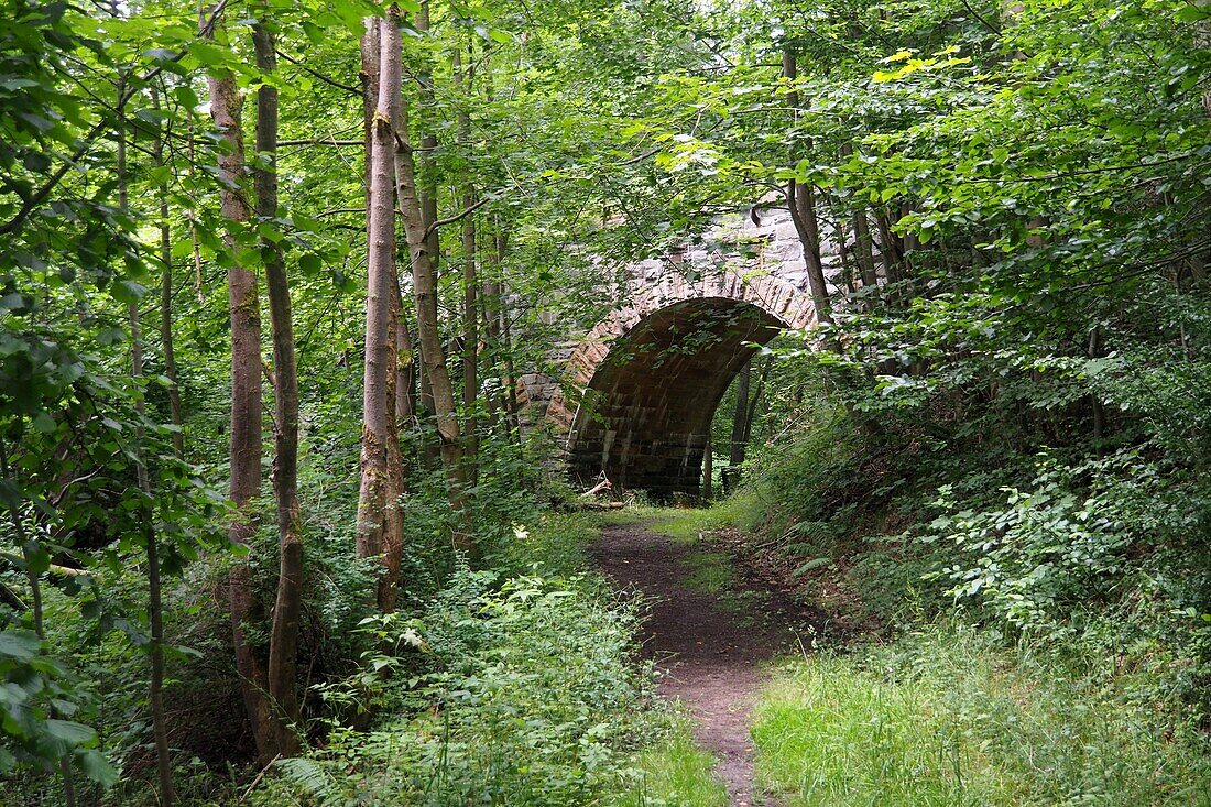  in the Höllental near Lichtenberg, Franconian Forest, Upper Franconia, Bavaria, Germany 