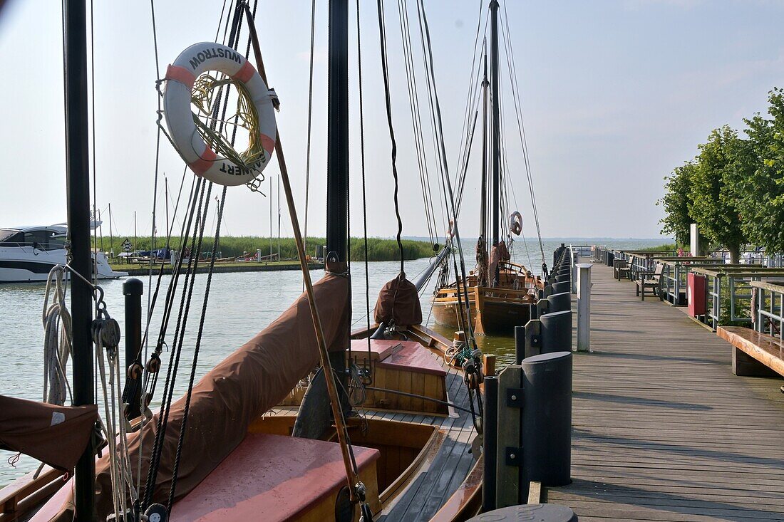 Segelboote am kleinen Hafen von Niehagen im Bodden, Fischland-Darß, Mecklenburg-Vorpommern, Deutschland