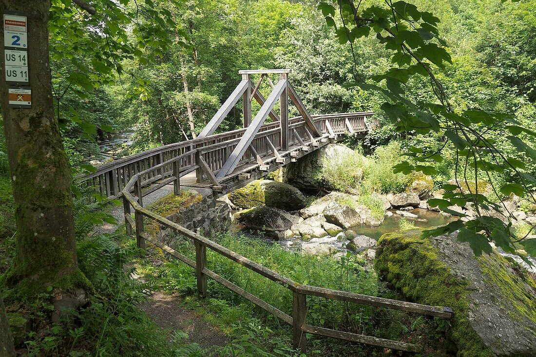  in the Höllental near Lichtenberg, Franconian Forest, Upper Franconia, Bavaria, Germany 