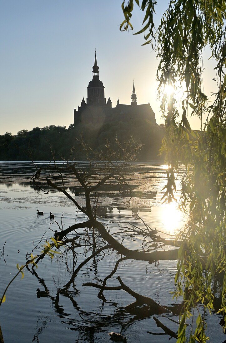 Park am Frankenteich mit Marienkirche bei Sonnenuntergang, Stralsund, Mecklenburg-Vorpommern, Deutschland