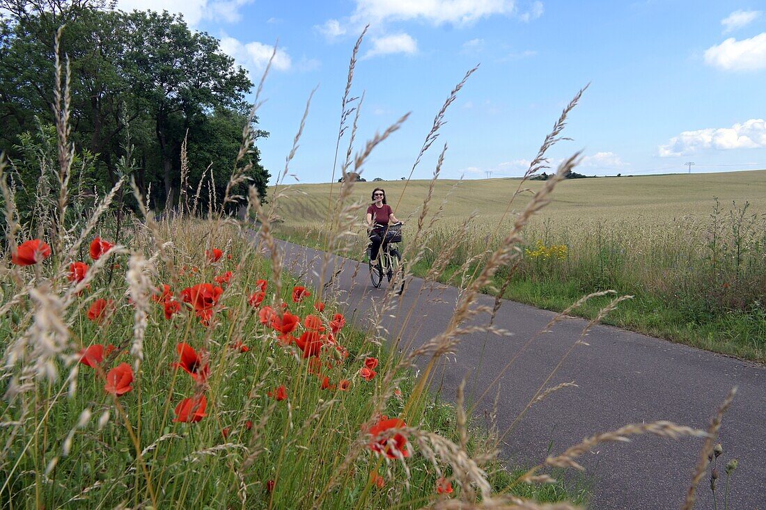 Frau auf Fahrrad auf einsamer Landstraße bei Albeck, Insel Usedom, Mecklenburg-Vorpommern, Deutschland