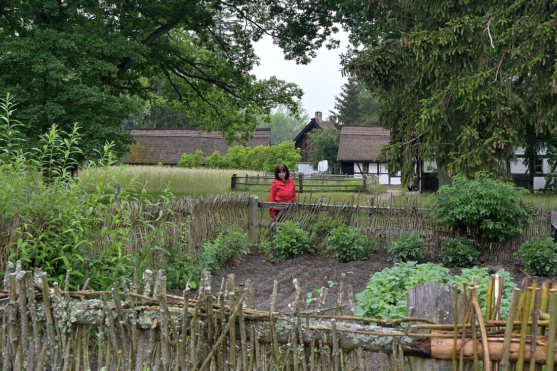 Bauerngarten im Freilichtmuseum in Kluki (Klucken), Ostseeküste, Pommern, Polen