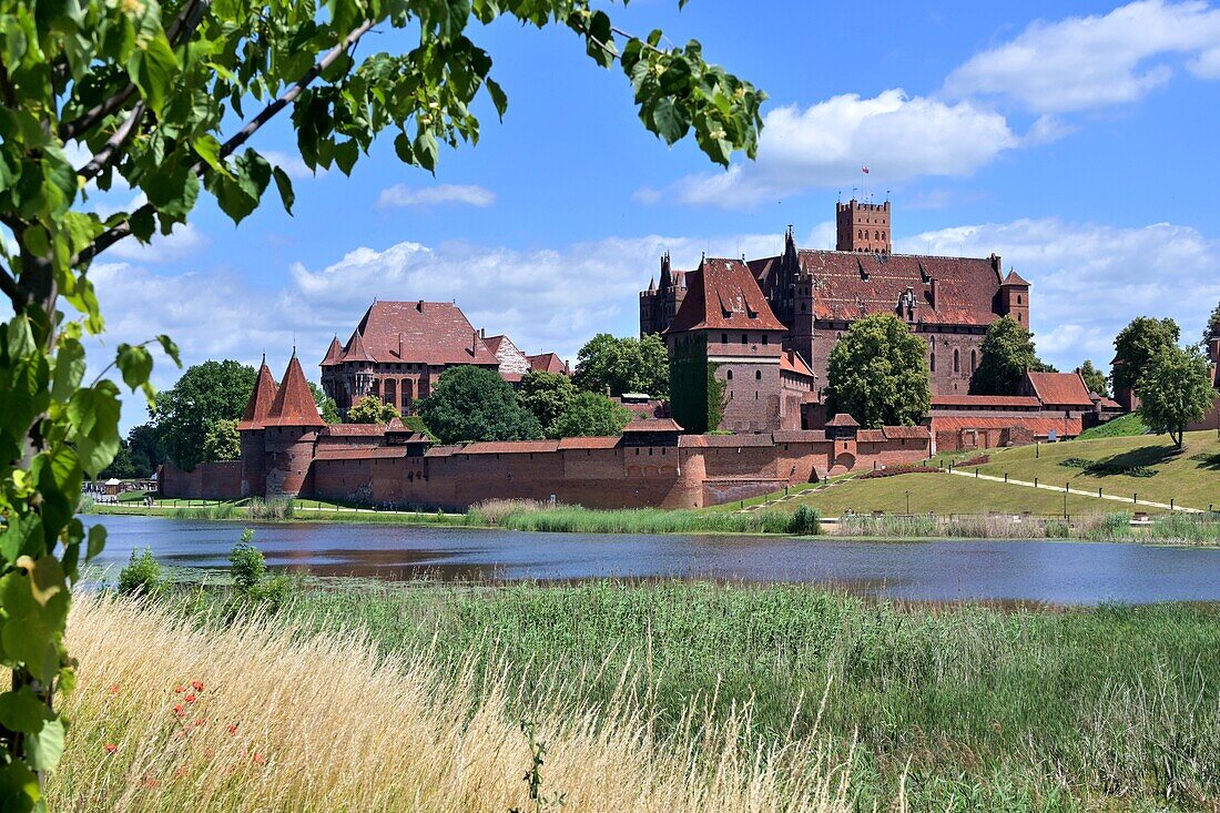 Blick auf die Burg Marienburg am Fluss Weichsel, Stadt Marienburg Malbork, Pommern, Nord-Polen