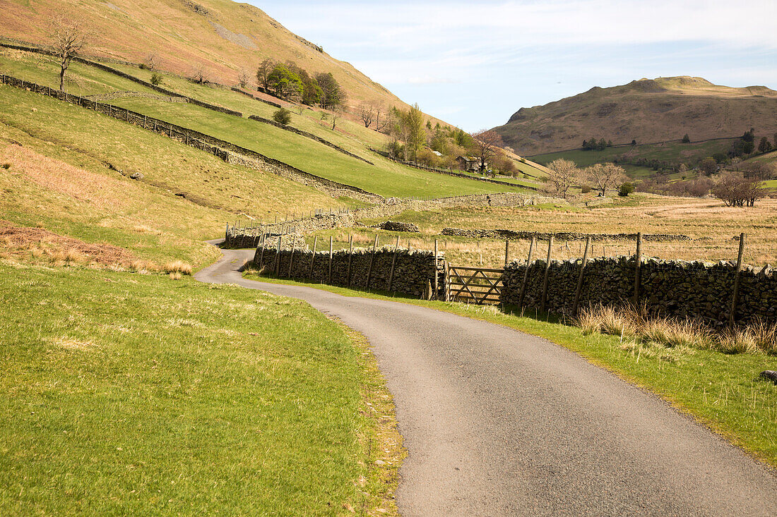  Schmale Straße und Trockenmauer, Boredale Valley, Martindale, Lake District Nationalpark, Cumbria, England, Großbritannien 