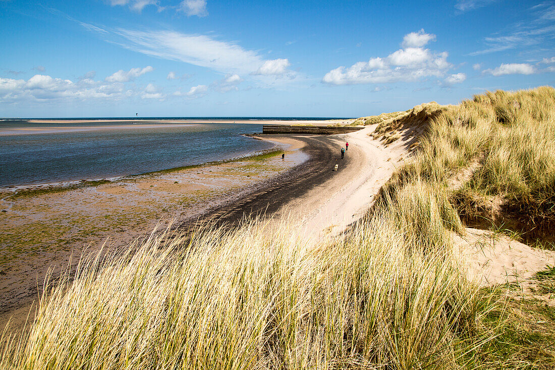  Sandstrand bei Ebbe, Budle Bay, Northumberland, England, Großbritannien 