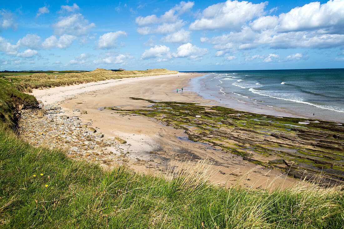  Breiter Sandstrand bei Seahouses, Northumberland, England, Großbritannien 