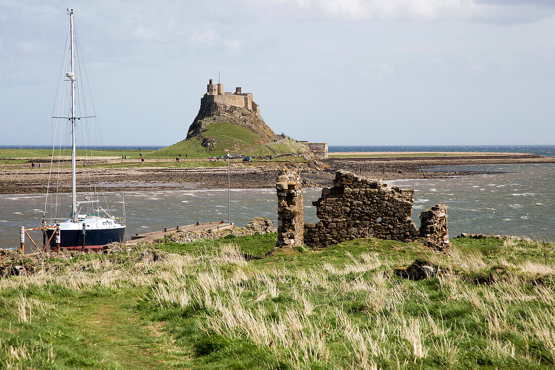  Lindisfarne Castle, Holy Island, Northumberland, England, Großbritannien 