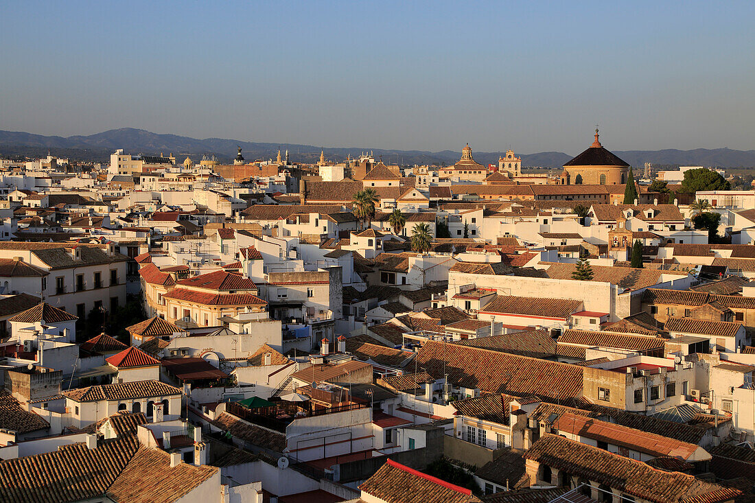 Oblique raised angle view of historic city centre buildings, Cordoba, Spain