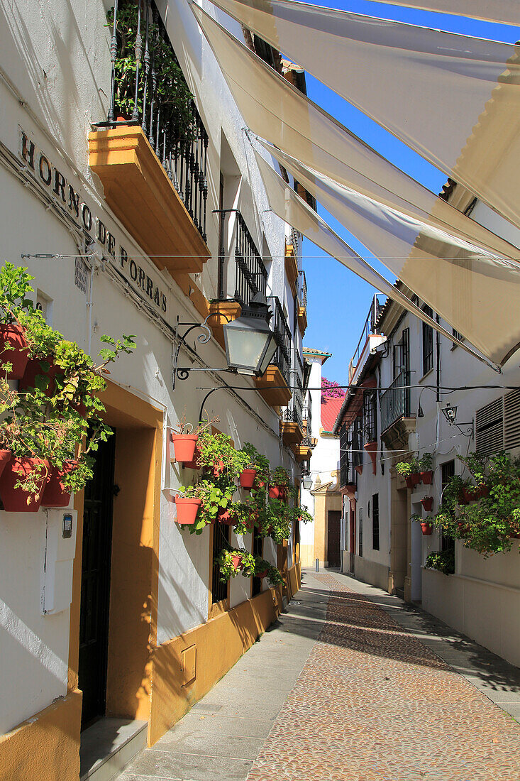 Attractive shaded houses cobbled street in of part of city, Horno de Porras, Cordoba, Spain