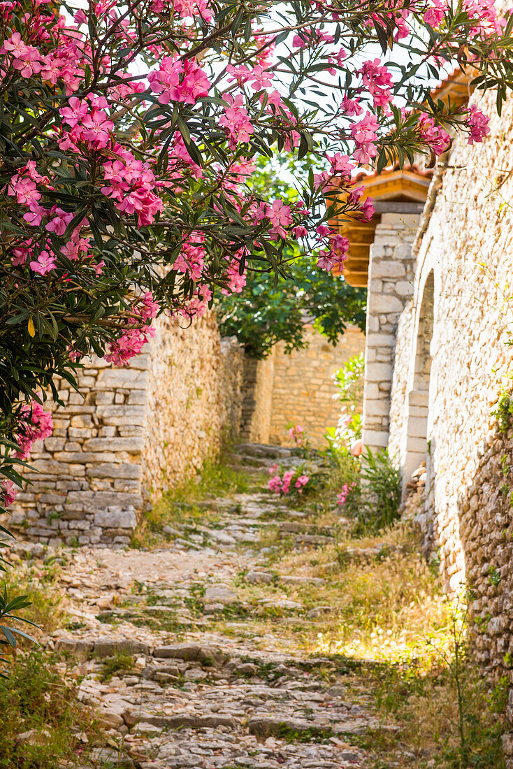 Upper or Old Qeparo, Ionian Coast, Albania, Southeastern Europe