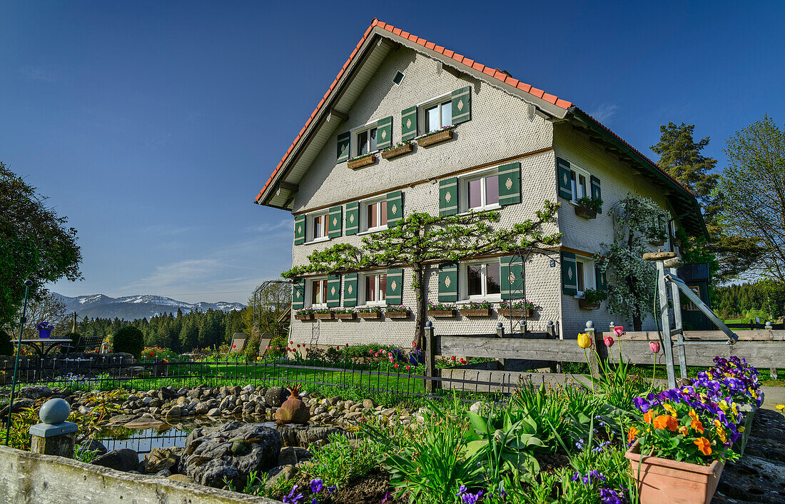  Farm garden and traditional farm near Stiefenhofen, Lake Constance-Königssee cycle path, Allgäu, Swabia, Bavaria, Germany 