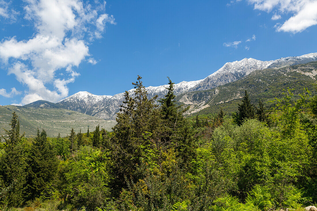 Schneebedeckter Gipfel des Mount Cika, Wald am Hang, in der Nähe von Dhermi, Albanien, Europa