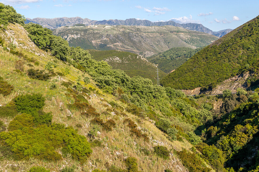 Bewaldete Hänge der bergigen Landschaft zwischen Himare und Vuno, albanische Riviera, Albanien, Europa