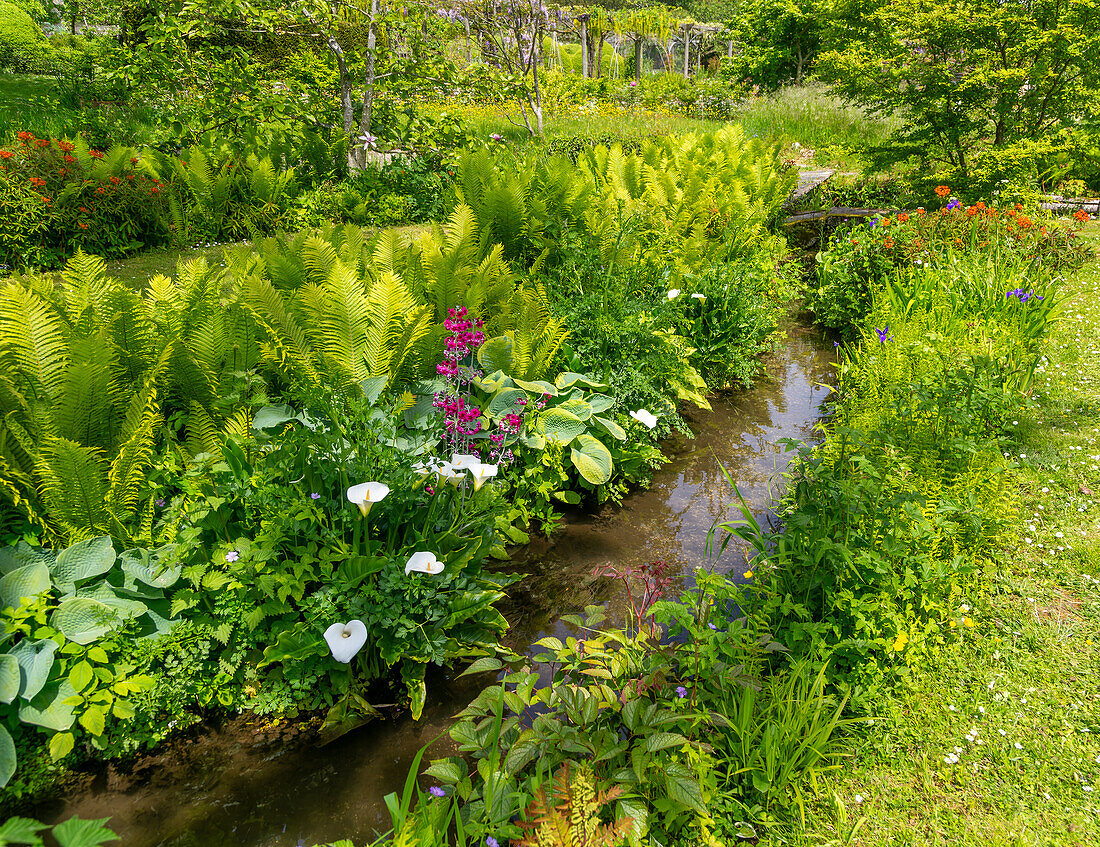 Chalk stream River Avon, Heale House and gardens, Middle Woodford, Salisbury, Wiltshire, England, UK