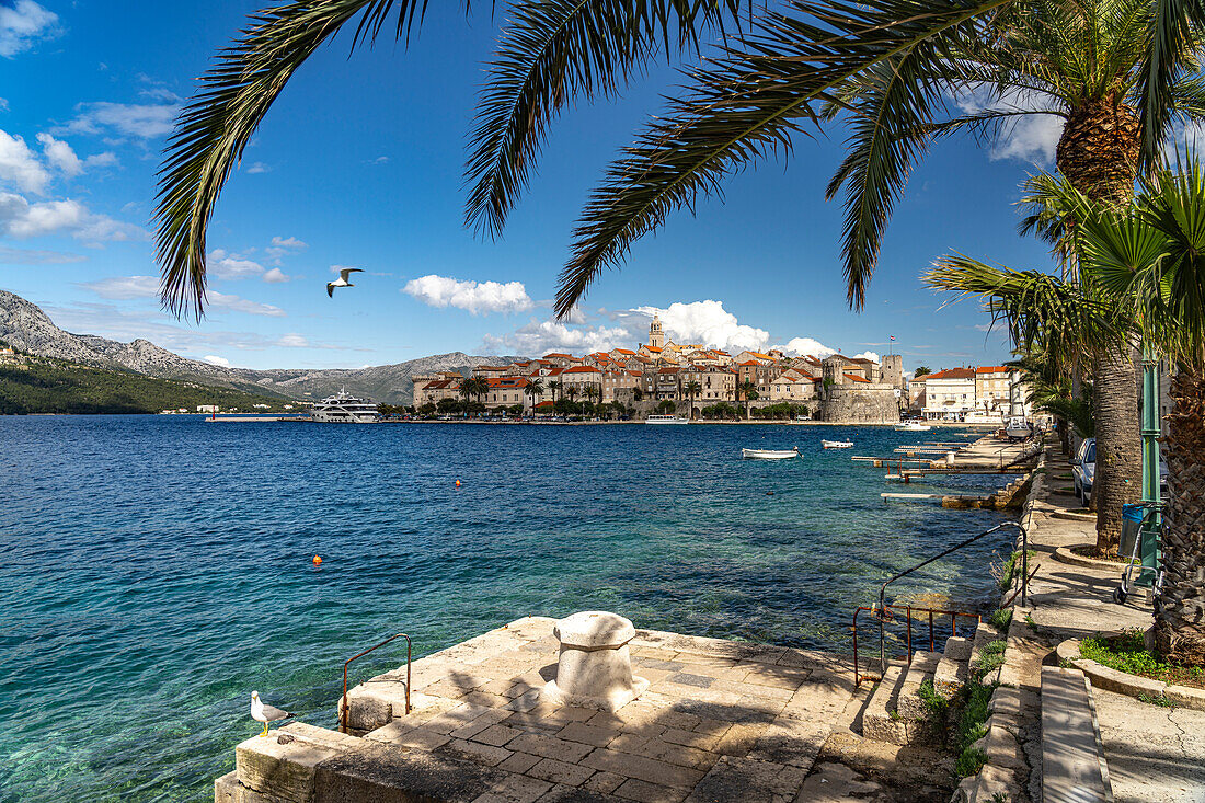  View of old town and harbor of Korcula, Croatia, Europe 