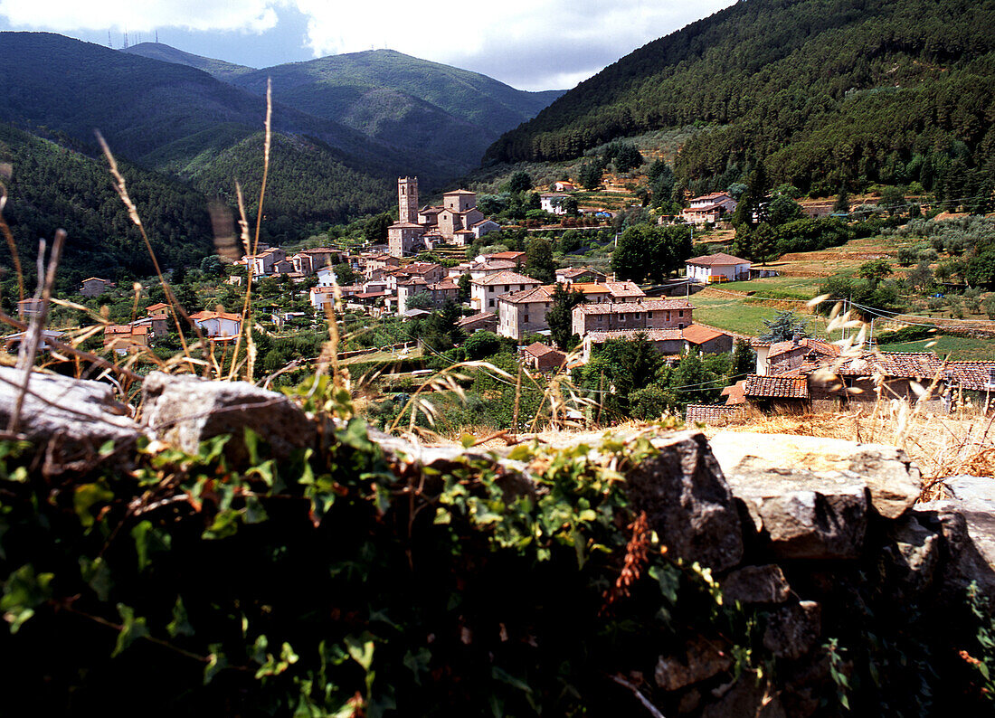 Santandrea di compito borgo delle camelie, Dorf bei Lucca, Toskana