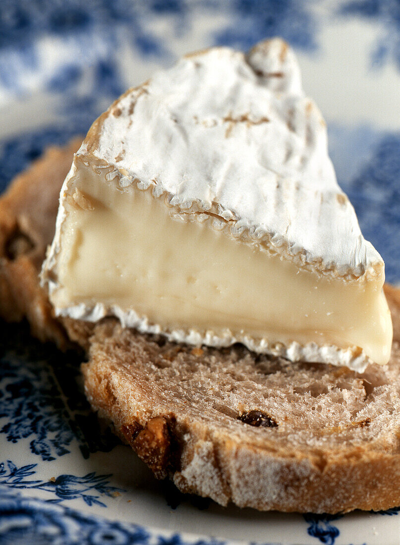  Camembert 