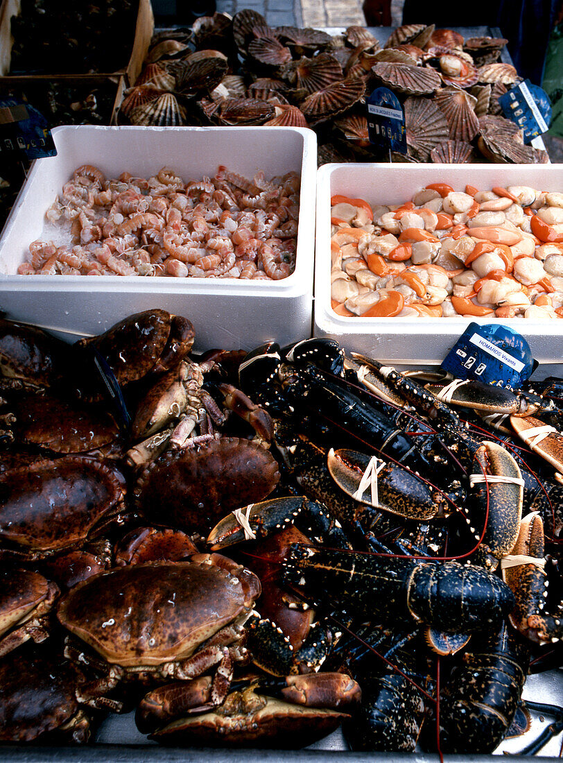 Fischmarkt, Normandie, Frankreich