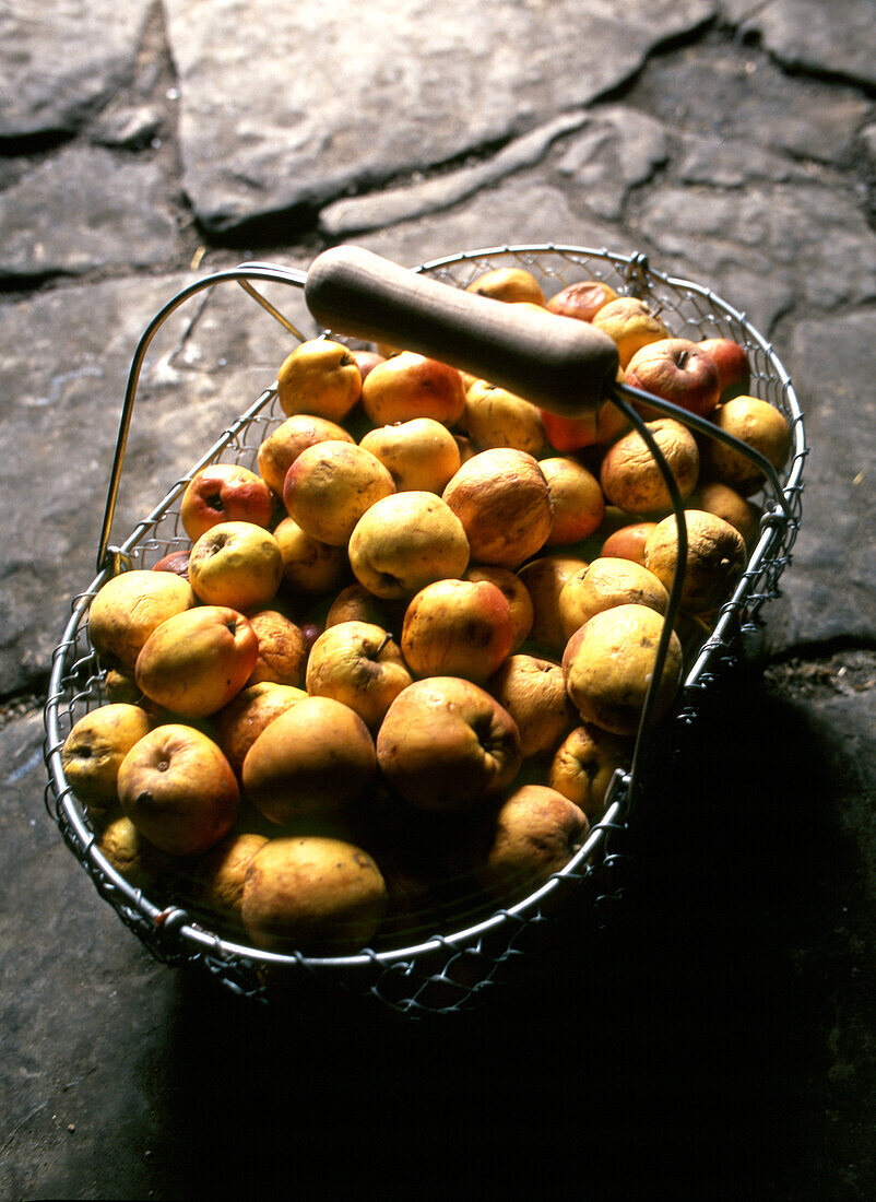  Apples for cider 