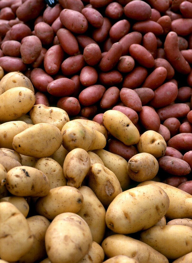   Potatoes on the market 