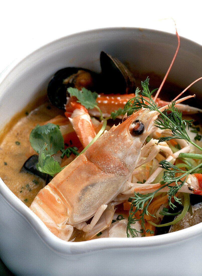  Soup, shellfish, lobster and fish 