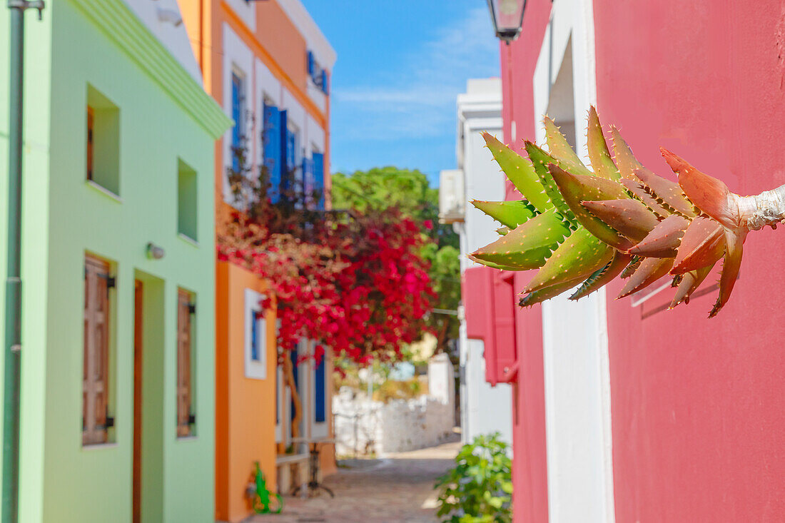 Emporio, Gasse voller traditioneller Häuser auf der Insel Halki, Chalki, Dodekanes, Griechenland