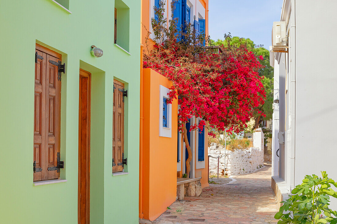 Gasse voller traditioneller Häuser auf der Insel Halki, Chalki, Dodekanes, Griechenland