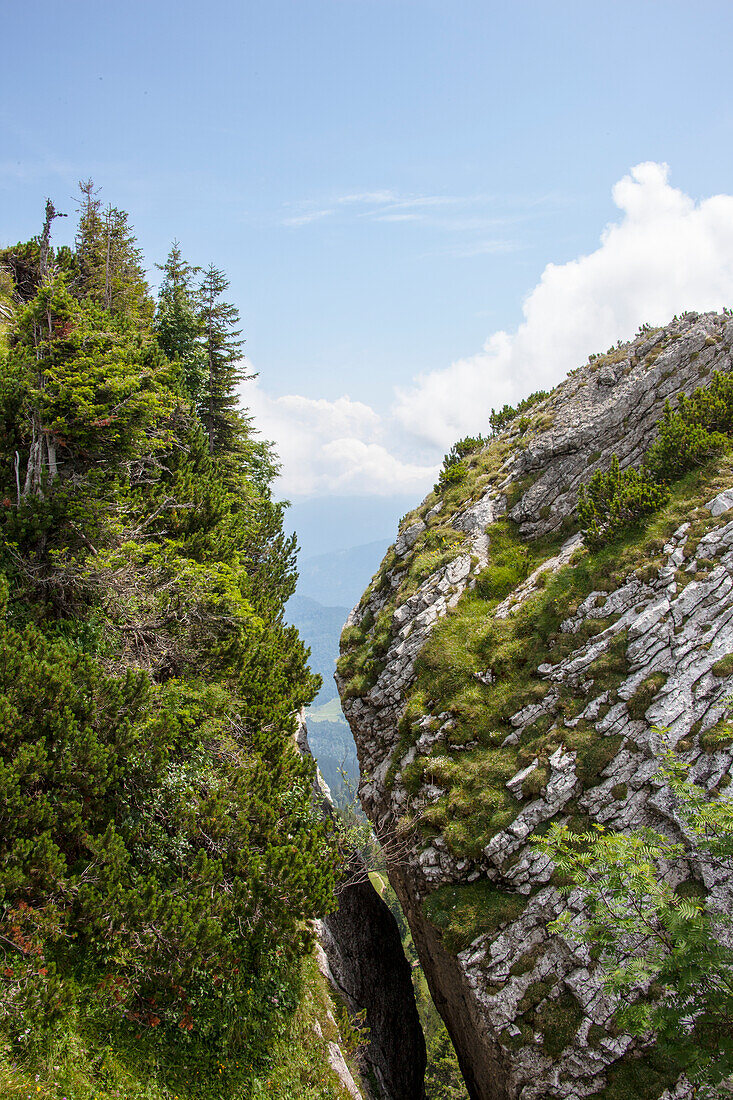 Felsspalte beim Latschenkopf, Brauneck, bei Lenggries, Oberbayern, Bayern, Deutschland