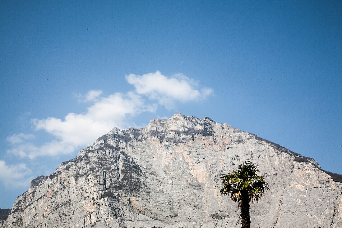  Mountains, rocks, palm trees, blue sky, white clouds, 