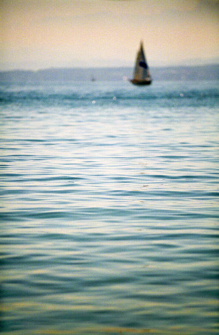 Segelboot auf dem Bodensee bei Sonnenuntergang, Baden-Württemberg, Deutschland