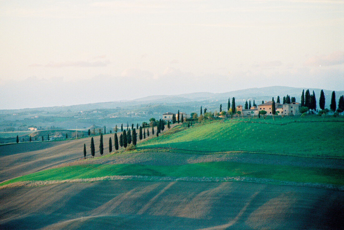 Typische Landschaft in der Toskana mit Zypressen und Hügeln im Herbst, Toskana, Italien