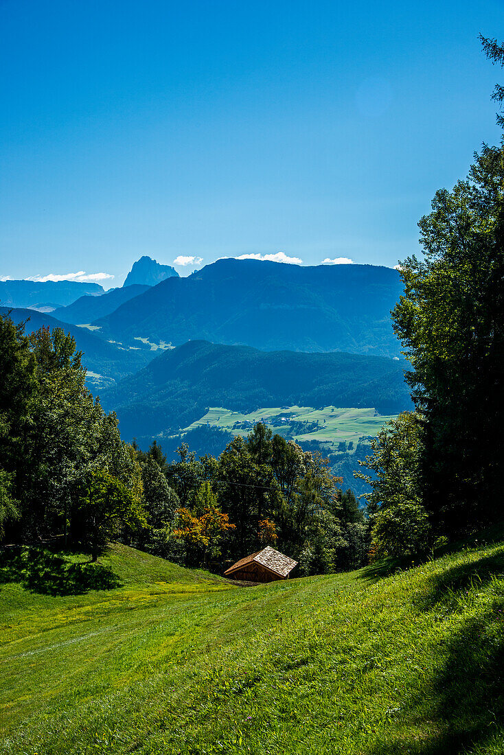  Landscape South Tyrol, mountains, meadows, flowers, peace, blue sky 