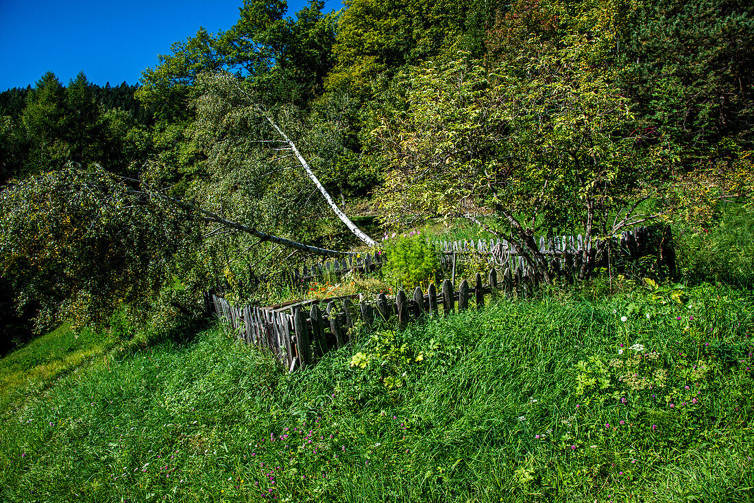  Landscape South Tyrol, mountains, meadows, flowers, peace, blue sky 