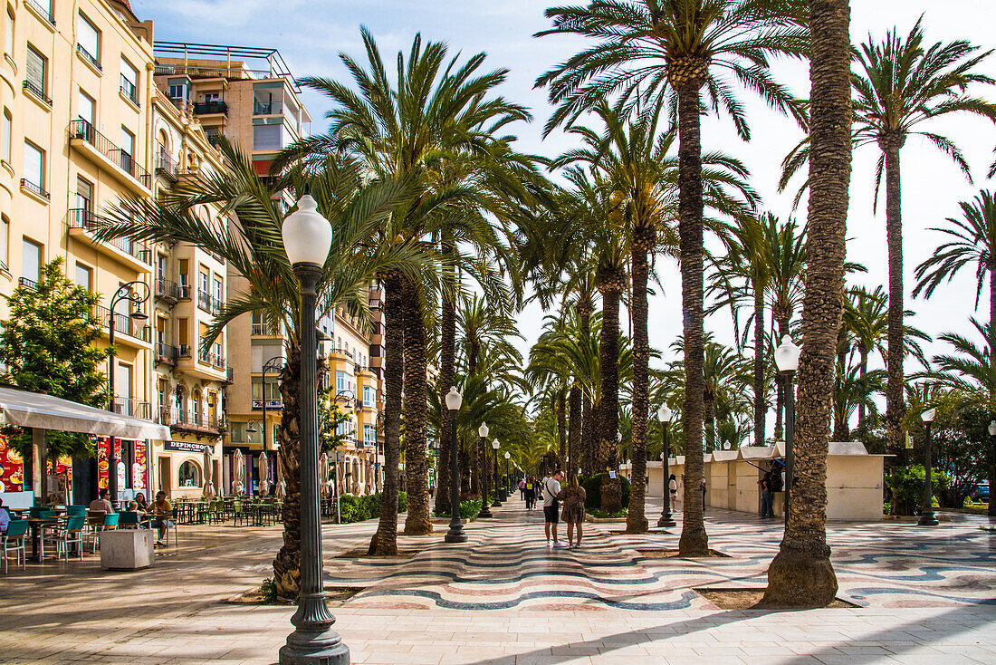 Passeig Esplanada, Flaniermeile am Hafen, Alicante, Costa Blanca, Spanien