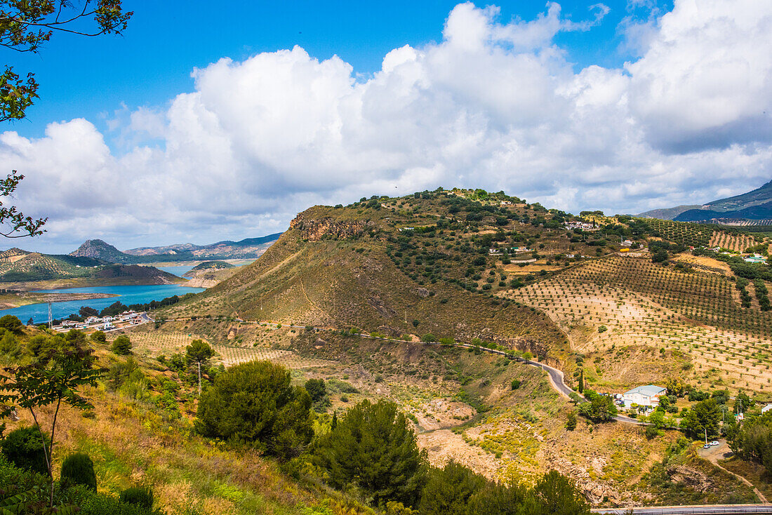 Landschaft bei Iznajar, am Stausee, im Olivengürtel, bei Iznajar, Provinz Cordoba, Andalusien, Spanien