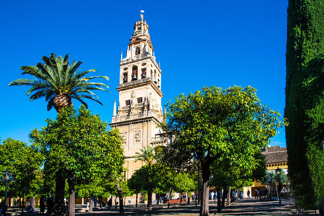  Cordoba, courtyard of the Mesquita, with bell tower, Cordoba Province Spain 