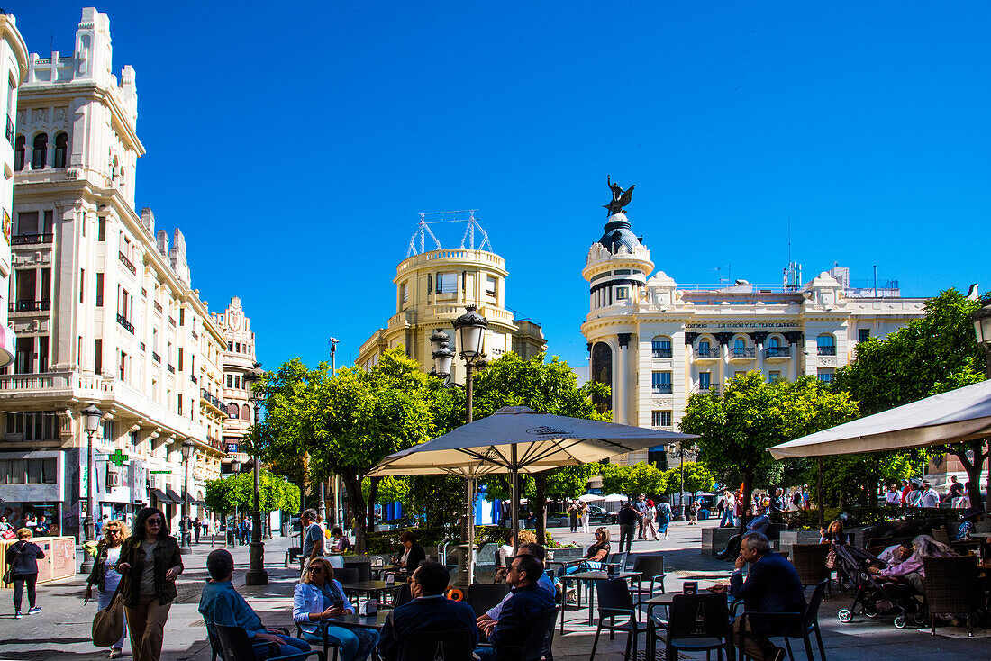  Cordoba, center, Plaza de Tendillas, early in the morning, very busy, Cordoba province, Spain 