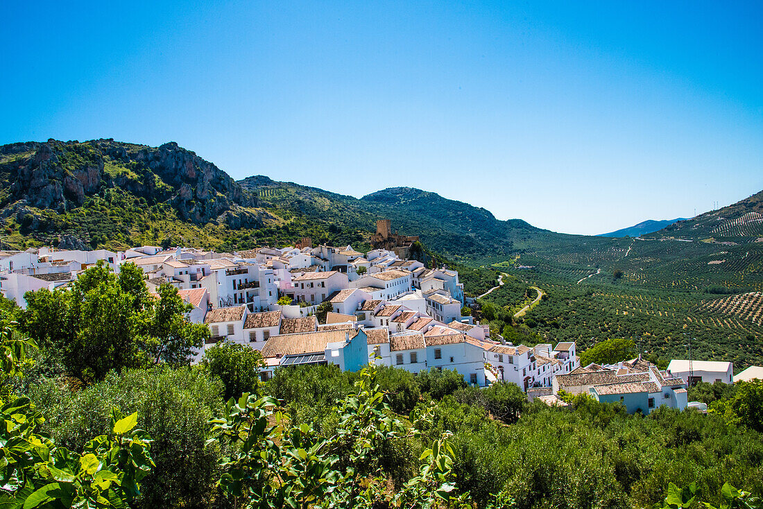 Weißes Dorf in den Bergen mit Burg und Höhlen, im Olivengürtel, Zuheros, Provinz Cordoba, Andalusien, Spanien